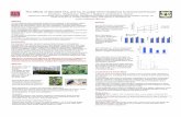 The effects of elevated CO and O on paper birch resistance ...