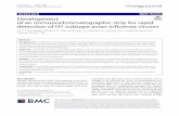 Development of an immunochromatographic strip for rapid ...