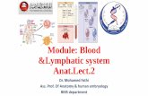 Module: Blood &Lymphatic system Anat.Lect