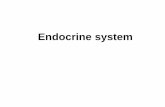 Endocrine system - is.muni.cz