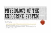 PHYSIOLOGY OF THE ENDOCRINE SYSTEM