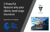 5 Powerful Reasons why your clients need cargo insurance