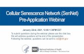 Cellular Senescence Network ( SenNet) Pre-ApplicationWebinar