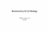 Biochemistry & Cell Biology