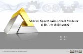 ANSYS SpaceClaim Direct Modeler 直接几何建模与修改