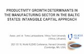 PRODUCTIVITY GROWTH DETERMINANTS IN THE …