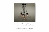 Metamorphosis 2017 - AmeriTec Lighting