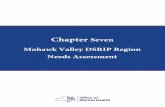 Chapter Seven, Mohawk Valley DSRIP Region Needs Assessment