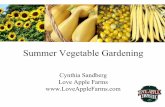 Summer Vegetable Gardening  Love ...