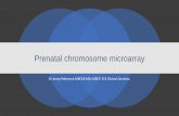 Prenatal chromosome microarray - Fetal Genomics Group