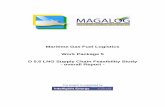 D5-6 LNG supply chain feasibility study - overall report