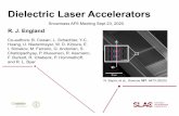 Dielectric Laser Accelerators