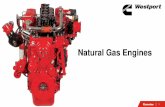 Natural Gas Engines - South Shore Clean Cities