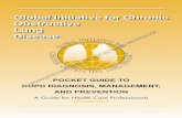Global Initiative for Chronic - UI Health Care
