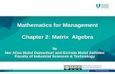 Mathematics for Management Chapter 2: Matrix Algebra