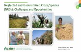Neglected and Underutilized Crops/Species (NUSs ...