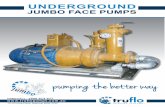pumping the better way - Truflo Pumps