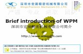 Brief introduction of WPM - Jdzj.Com