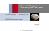 Country Risk Management in Dynamic Economic Environments
