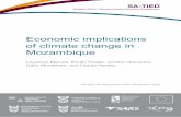 Economic implications of climate change in Mozambique