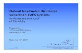 Natural Gas-Fueled Distributed Generation SOFC Systems