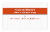 Acute Renal failure (Acute kidney injury)