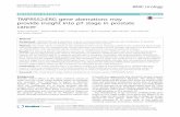 TMPRSS2:ERG gene aberrations may provide insight into pT ...