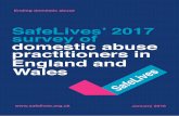 SafeLives’ 2017 survey of domestic abuse practitioners in ...