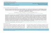 Neuroprotective potential of Aframomum melegueta extracts ...