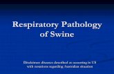 Respiratory Pathology NOT TO BE REPRODUCED of Swine