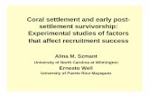 Coral settlement and early post- settlement survivorship ...