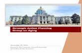 Strategic Action Planning Group on Aging