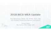 2018 BICSI Update