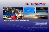 Your Reliable Partner - Bintang Subsea
