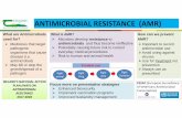 ANTIMICROBIAL RESISTANCE (AMR)