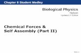 Chemical Forces & Self Assembly (Part II)