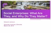Social Enterprises: What Are They, and Why Do They Matter?