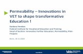 Permeability Innovations in VET to shape transformative ...