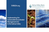 Implementing the Sustainable Groundwater Management Act In ...
