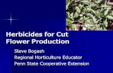 Herbicides for Cut Flower Production