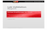 Lab Validation Report - InfoStor