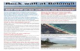 Rock wall at Belongil - NSW Coastal Alliance