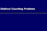 Distinct Counting Problem