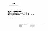 Ensuring Sustainability Beyond Tier-One