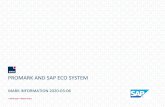 PROMARK AND SAP ECO SYSTEM - Amazon Web Services