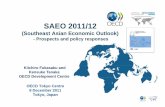 OECD Tokyo Centre presentation SAEO2011 12 (3)