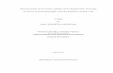 Cunningham Thesis - Texas A&M University