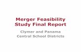 Merger Feasibility Study Final Report