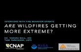 INTERVIEWS WITH FIRE BEHAVIOR EXPERTS ARE WILDFIRES ...