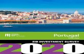 EIB Group survey on investment and investment finance 2020 ...